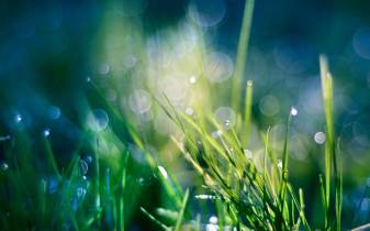 Heaven Bokeh Picture Backgrounds