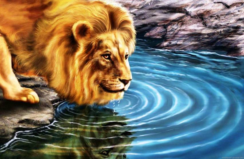 1080p, Animals, Lion, Amazing Art Drawings Background