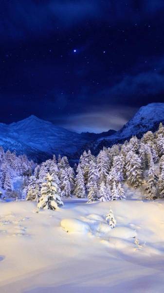 Night, Snow, Winter Landscape 1080x1920 Wallpapers
