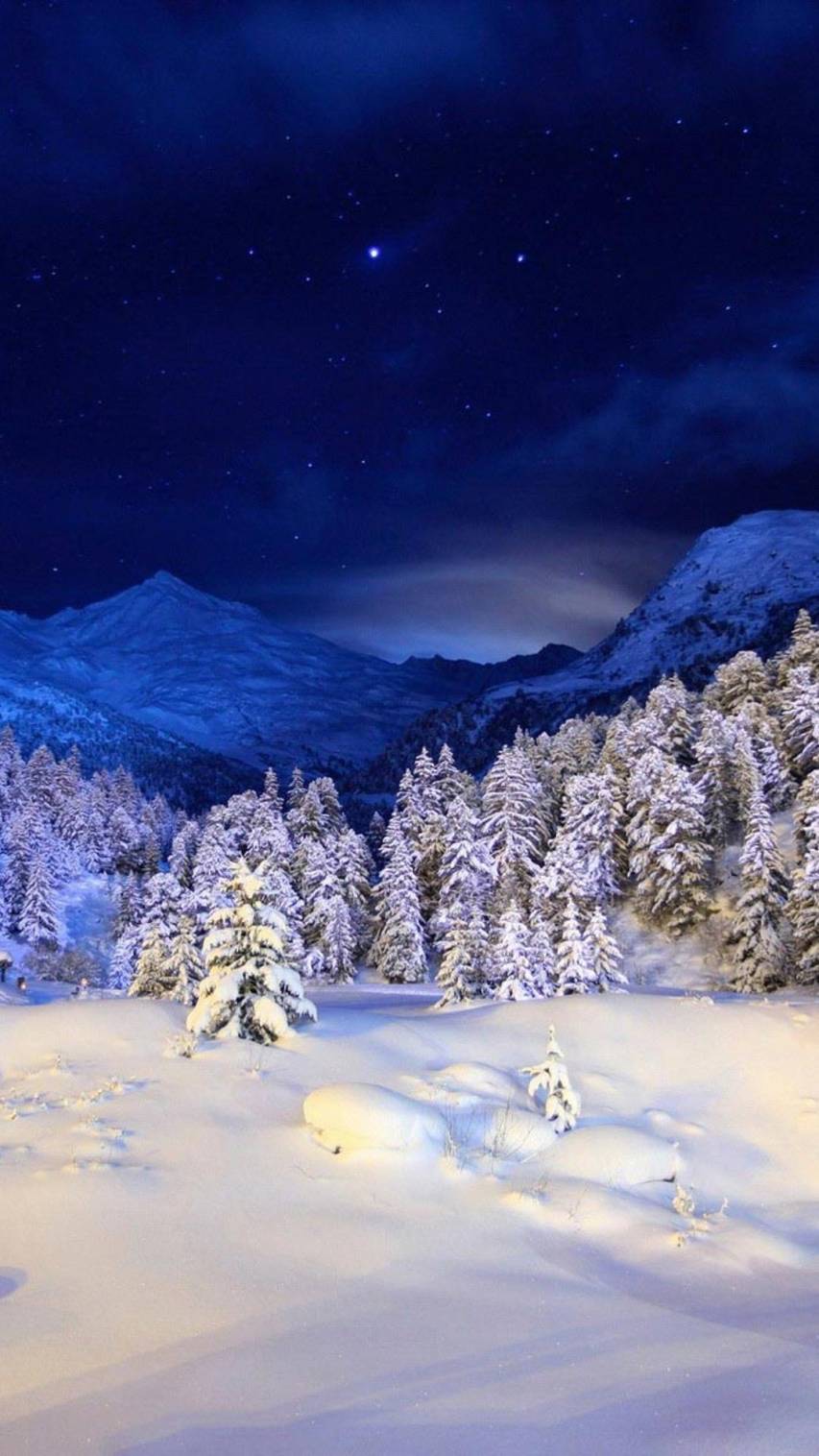 Night, Snow, Winter Landscape 1080x1920 Wallpapers