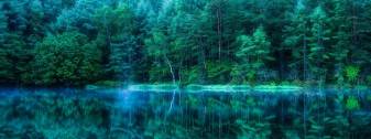 Free Forest Dual Screen Background images