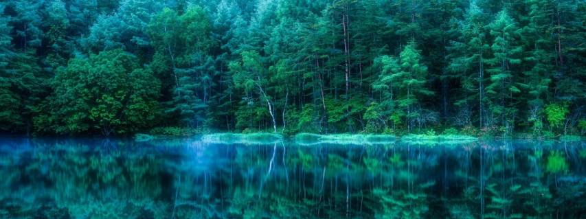 Free Forest Dual Screen Background images