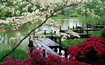 Cool 4k Japan Spring Landscape Desktop Wallpapers