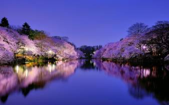 Spring, Nature, 4k Japan hd Desktop images