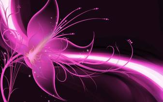 Pink Flower Abstract Desktop Wallpapers and Background Pictures