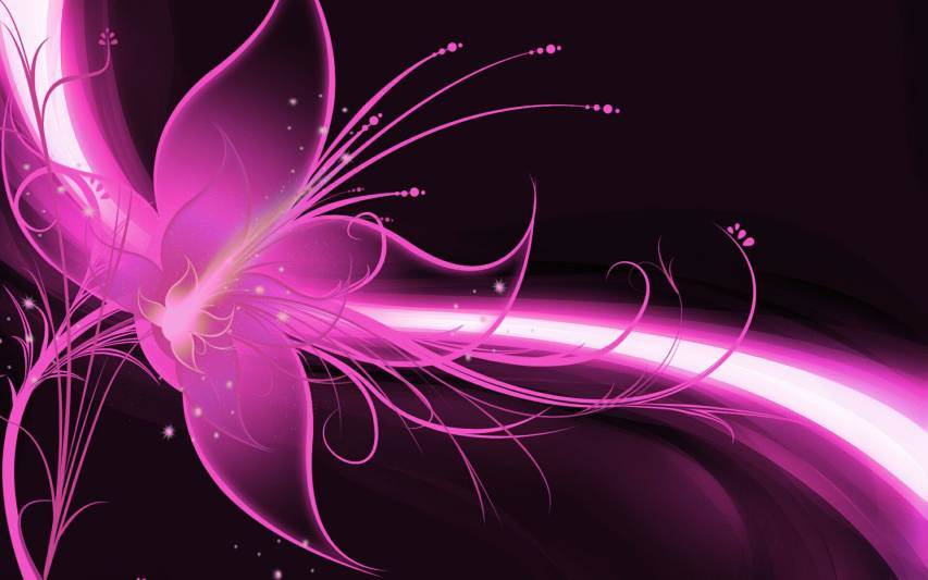 Pink Flower Abstract Desktop Wallpapers and Background Pictures