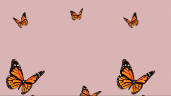 Gorgeous Aesthetic Butterfly Desktop Backgrounds