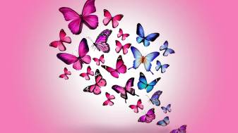 4k hd Butterfly Aesthetic Background Wallpapers