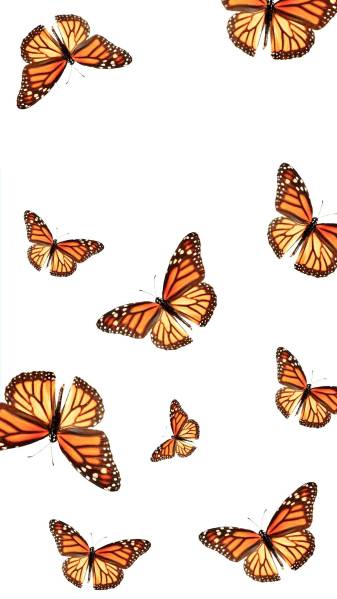 Butterfly Aesthetic iPhone Wallpapers