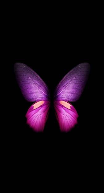 Butterfly Aesthetic 4k hd Background images for Phone
