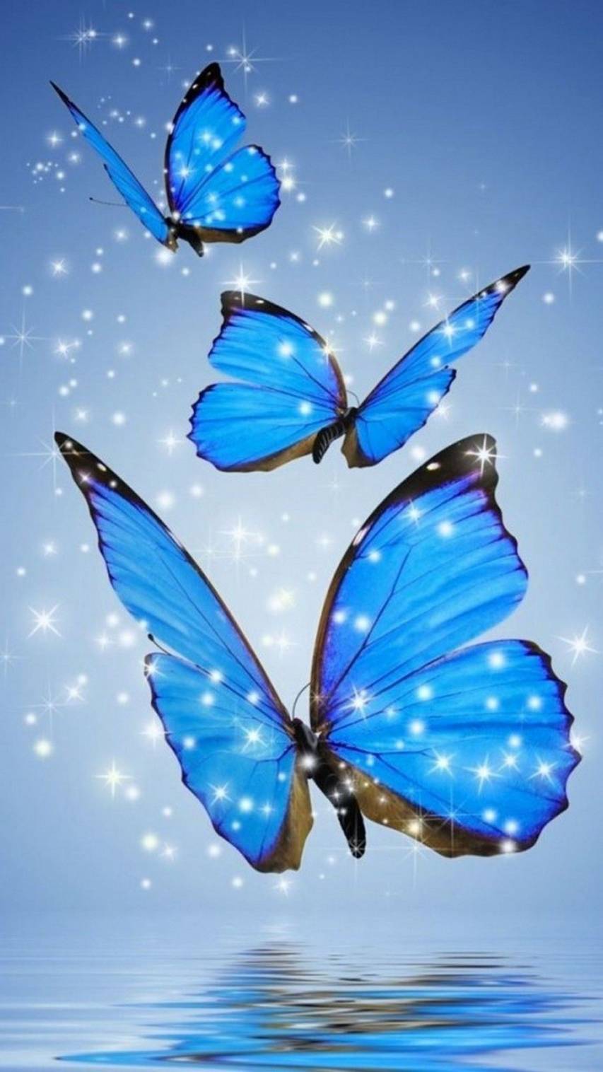 Blue Aesthetic Butterfly beautiful Wallpapers for iPhone