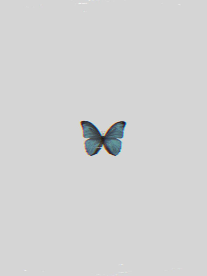 Cute Butterfly Aesthetic Wallpaper Pictures for Phone