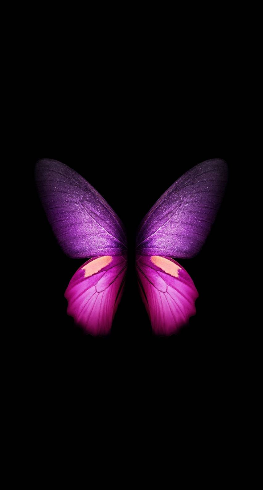 Butterfly Aesthetic 4k hd Background images for Phone