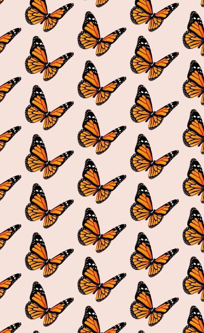 Butterfly Aesthetic Phone Wallpaper Photos