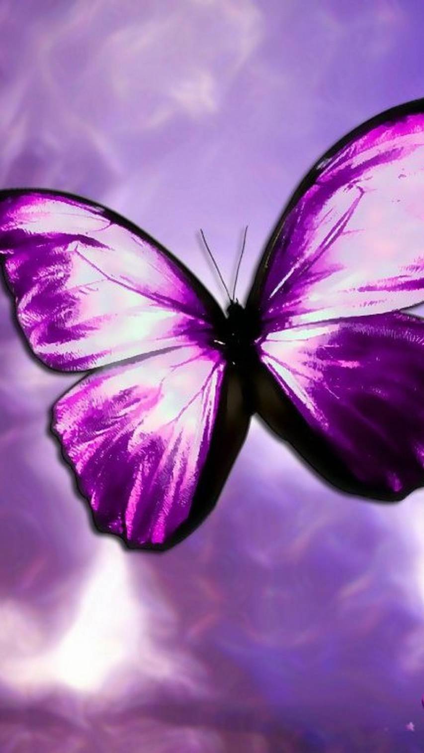 Free Pictures of Butterfly Aesthetic iPhone Wallpapers