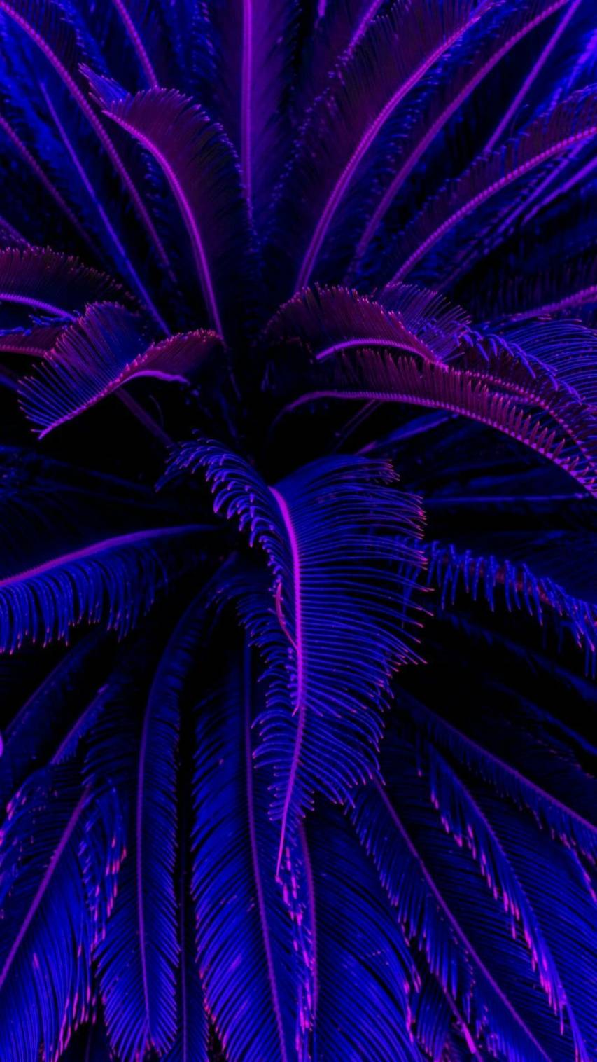 Neon, leaf, Putple Aesthetic free Wallpapers for iPhone