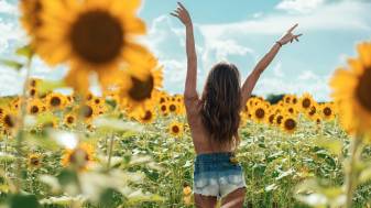 Aesthetic Sunflower and Girl hd Wallpapers