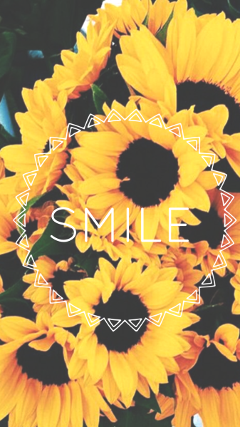 Smile Aesthetic Sunflower iPhone Backgrounds Pic