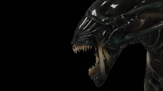 Alien Wallpapers and Background images 1080p
