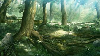 Anime, Sunlight, Forest, Green, Leaves, trees, Wallpaper