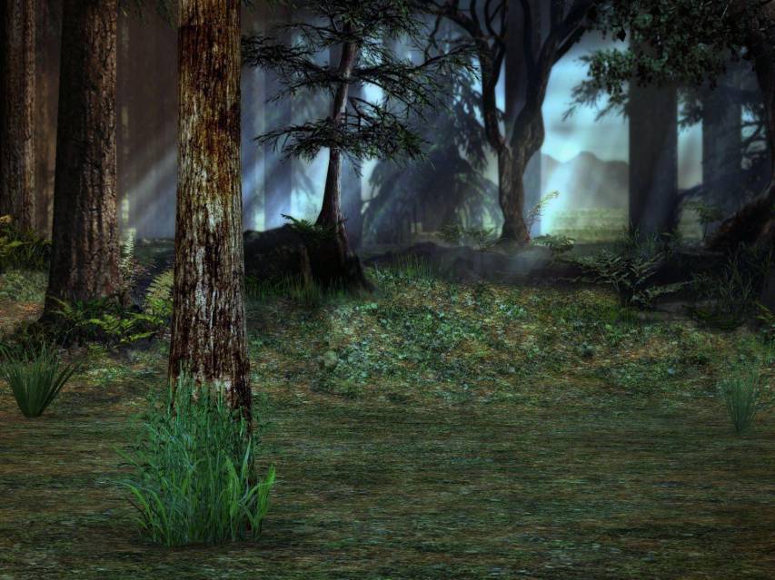 The Most Beautiful Anime Forest at Night Picture Pc