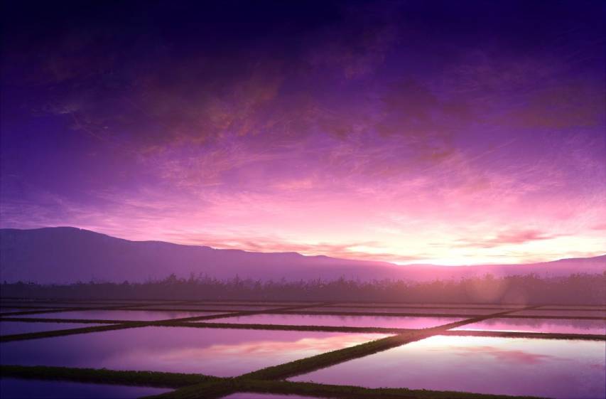 Purple Aesthetic Anime Sunset Pc Pictures