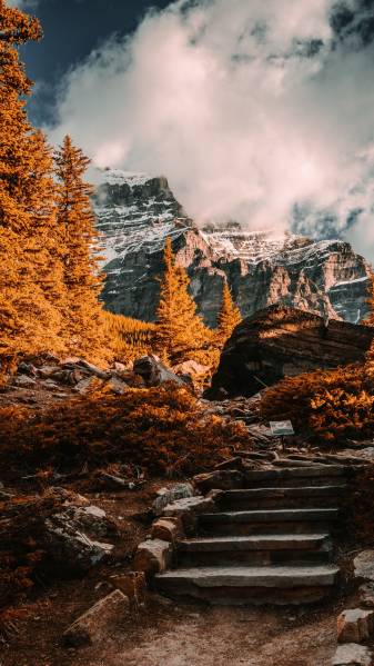 Autumn Beautiful Wallpapers free for Phone