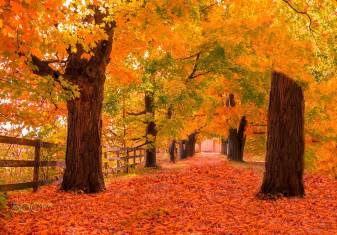 Awesome Autumn Wallpapers