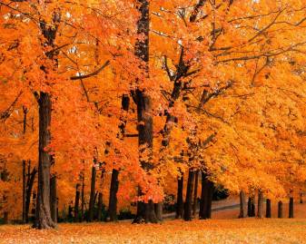 Cool Autumn Wallpapers