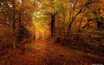 Nature Autumn Landscape hd Wallpapers
