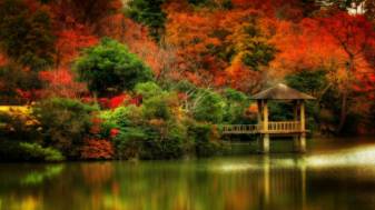 Japanese Autumn 1080p Backgrounds