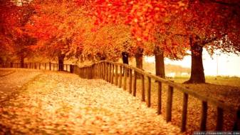 Autumn Picture Wallpapers