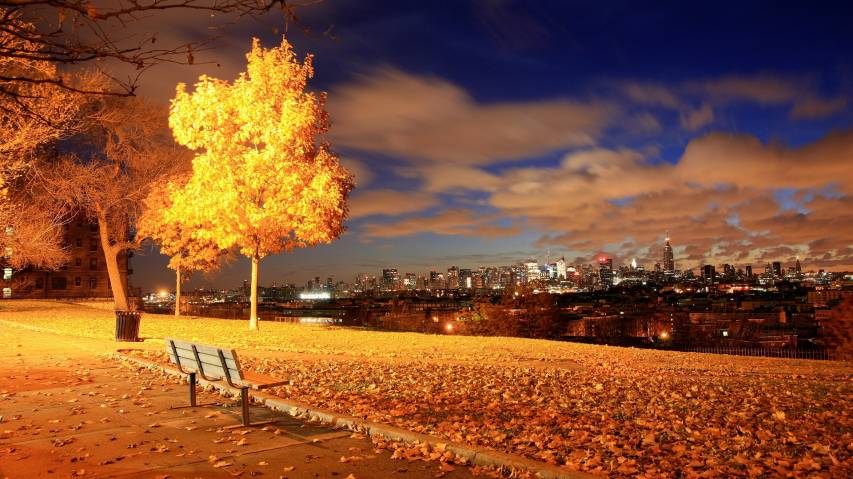 4k hd Night Autumn Scenery Backgrounds