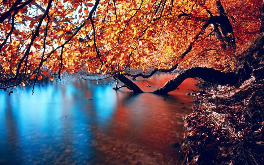 Cool hd Autumn Scenery Desktop image Wallpapers