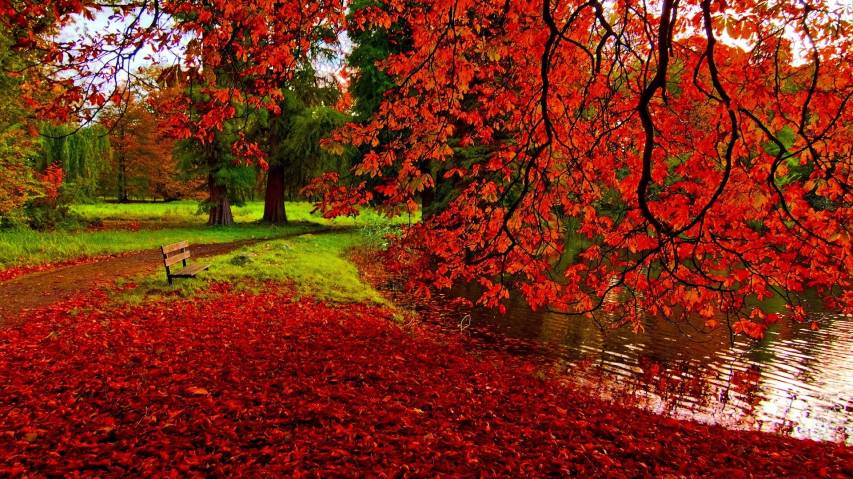 Cool Autumn Wallpapers 1080p