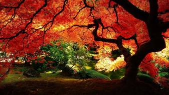 Free Beautiful Autumn Pictures