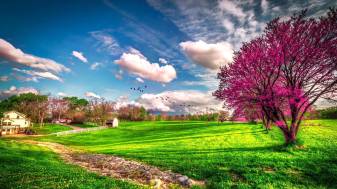 Beautiful Spring Scenery 1080p image Backgrounds