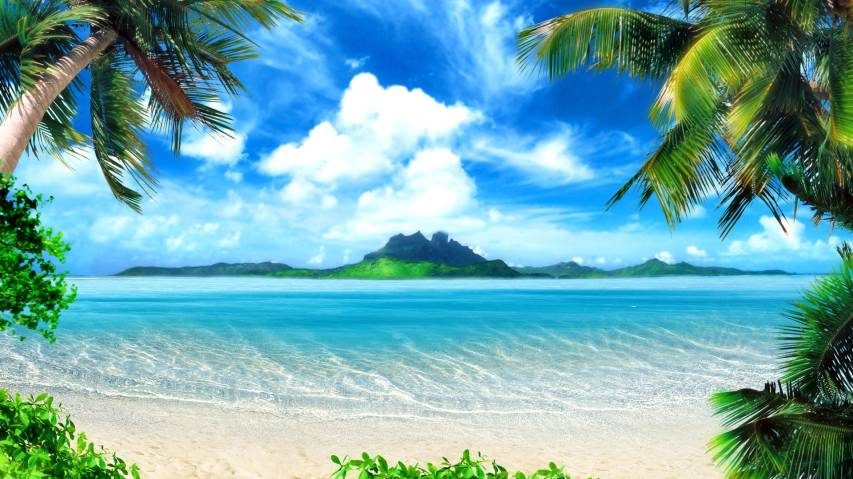Palms, Beach, Beautiful Scenery Backgrounds image