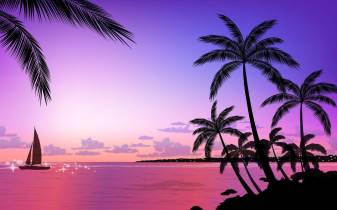 Pink Sunset hd Desktop Background images