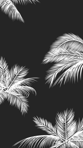 Cool Black and White Aesthetic Backgrounds for Mobile