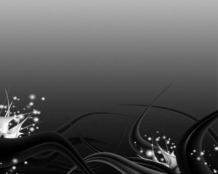 Best free Black and White Wallpapers and Background