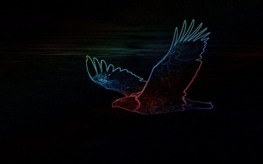 Cool Black Eagle Neon Wallpapers