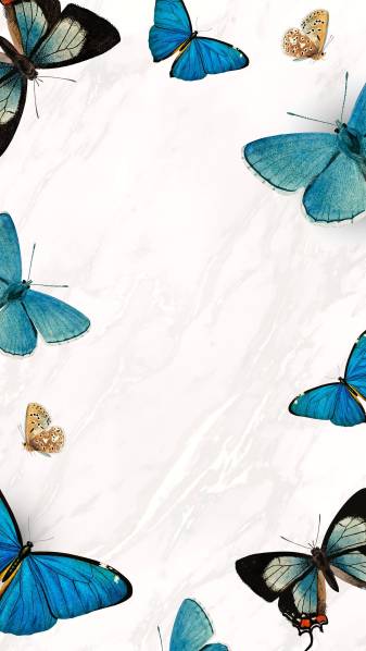 Blue Aesthetic Butterfly hd images for Phone
