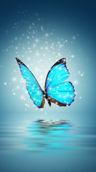 Butterfly hd Wallpapers for iPhone Devices