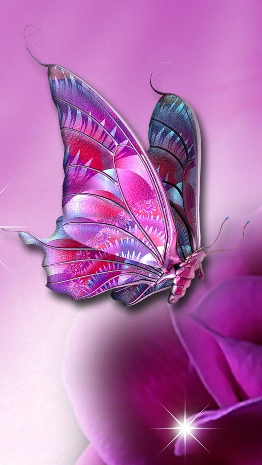 Free Butterfly image Wallpapers for iPhone