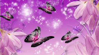 Butterfllies Pc image Wallpapers