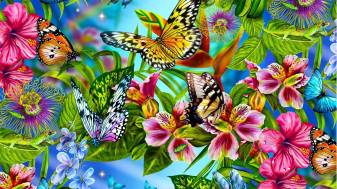 Colors Butterfly Background Pictures for Computer