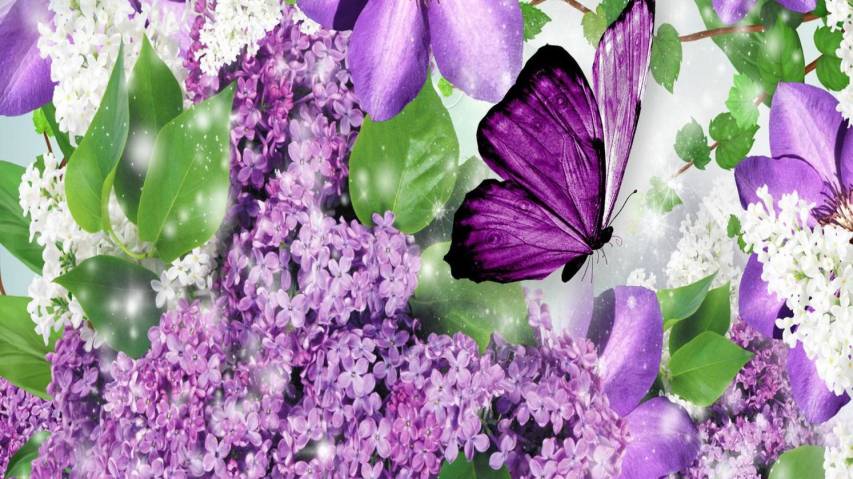 Purple Butterfly and Flowers Wallpaper images 1080p