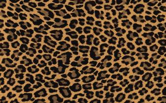 Awesome Cheetah Print Wallpaper, Leopard