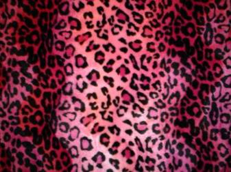 Free Pictures of Pink Cheetah Print